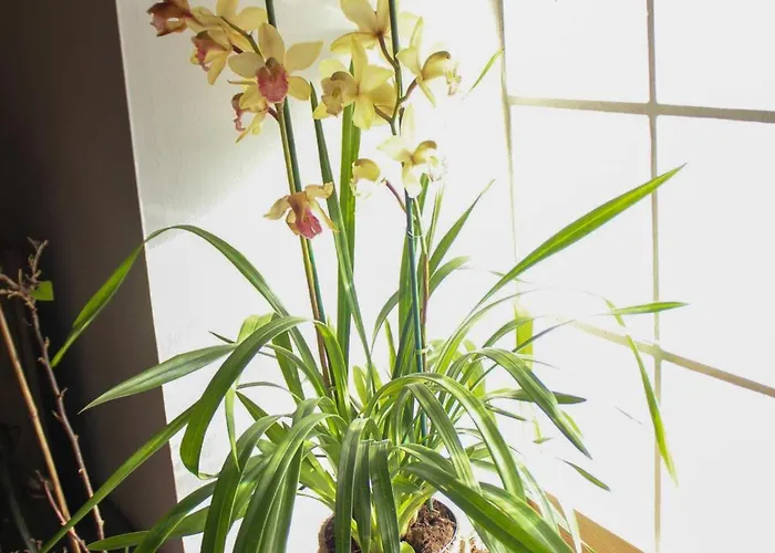 Le Loft Moliere Διαμέρισμα Pézenas